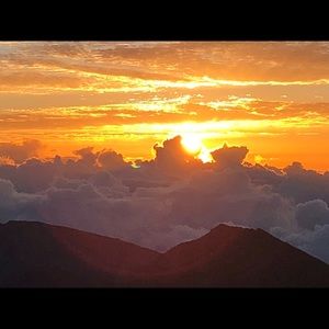 Meet your Posher, Timothy